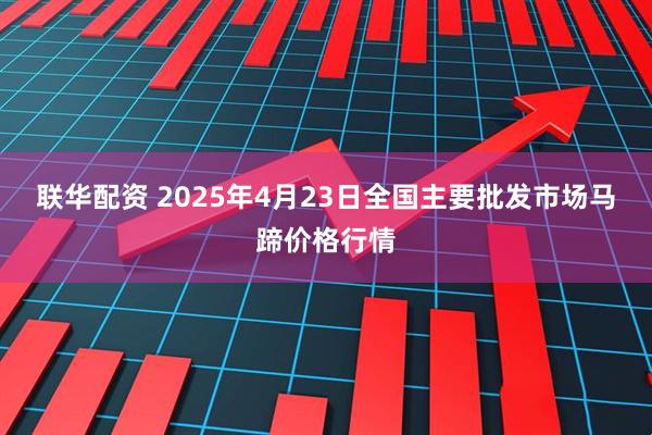 联华配资 2025年4月23日全国主要批发市场马蹄价格行情