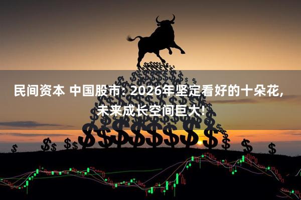 民间资本 中国股市: 2026年坚定看好的十朵花, 未来成长空间巨大!