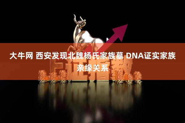 大牛网 西安发现北魏杨氏家族墓 DNA证实家族亲缘关系