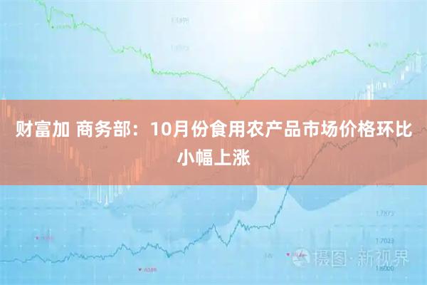 财富加 商务部：10月份食用农产品市场价格环比小幅上涨